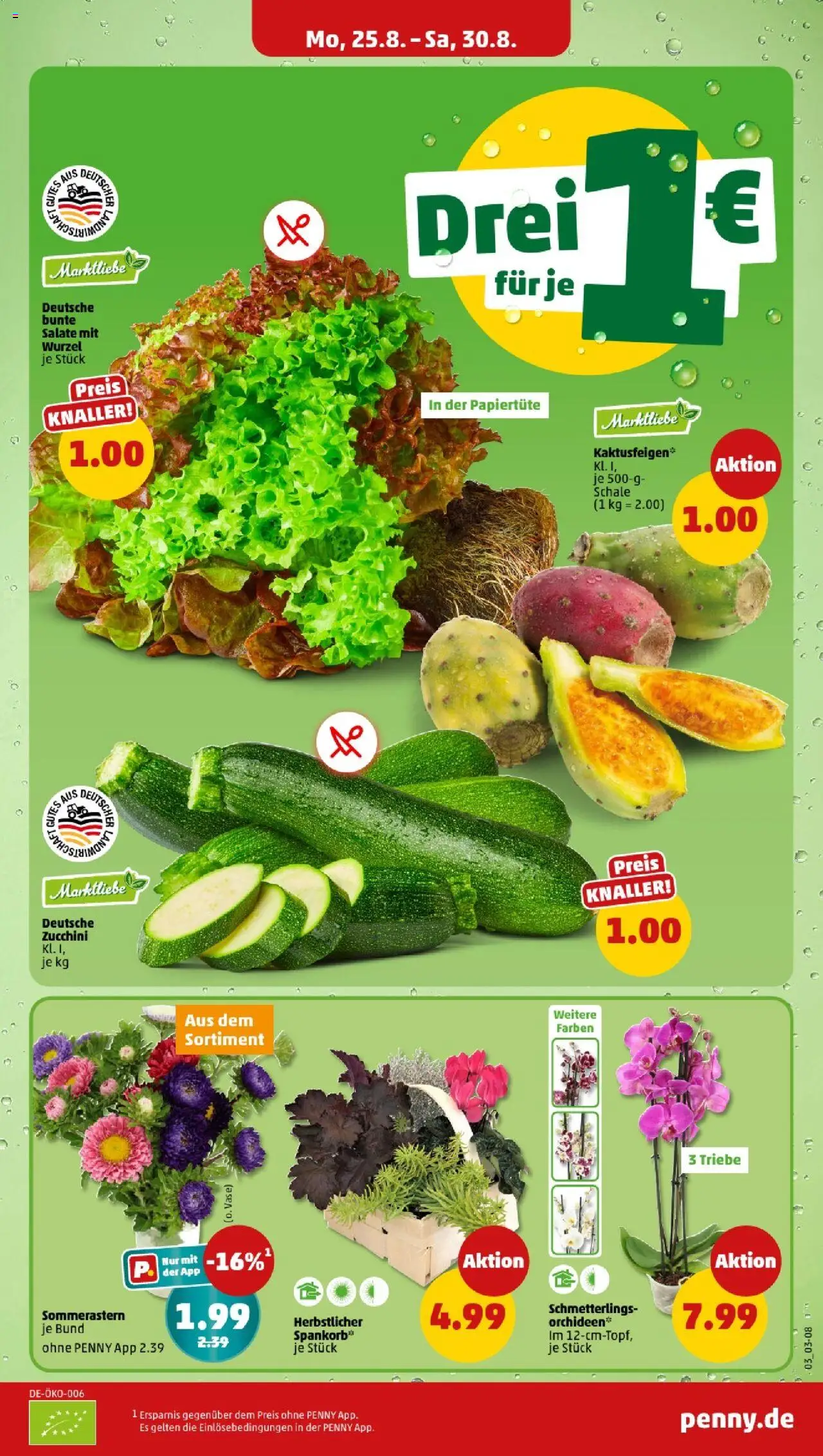 Penny - Hamburg - gültig ab dem 25.08.2025 | Seite: 3 | Produkte: Zucchini