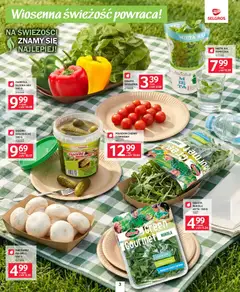 Pogląd oferty "Selgros cash&carry gazetka - Grillowanie" - ważna od 23.04.2026 | Strona: 3 | Produkty: Papryka, Rukola, Mięta, Ogórki