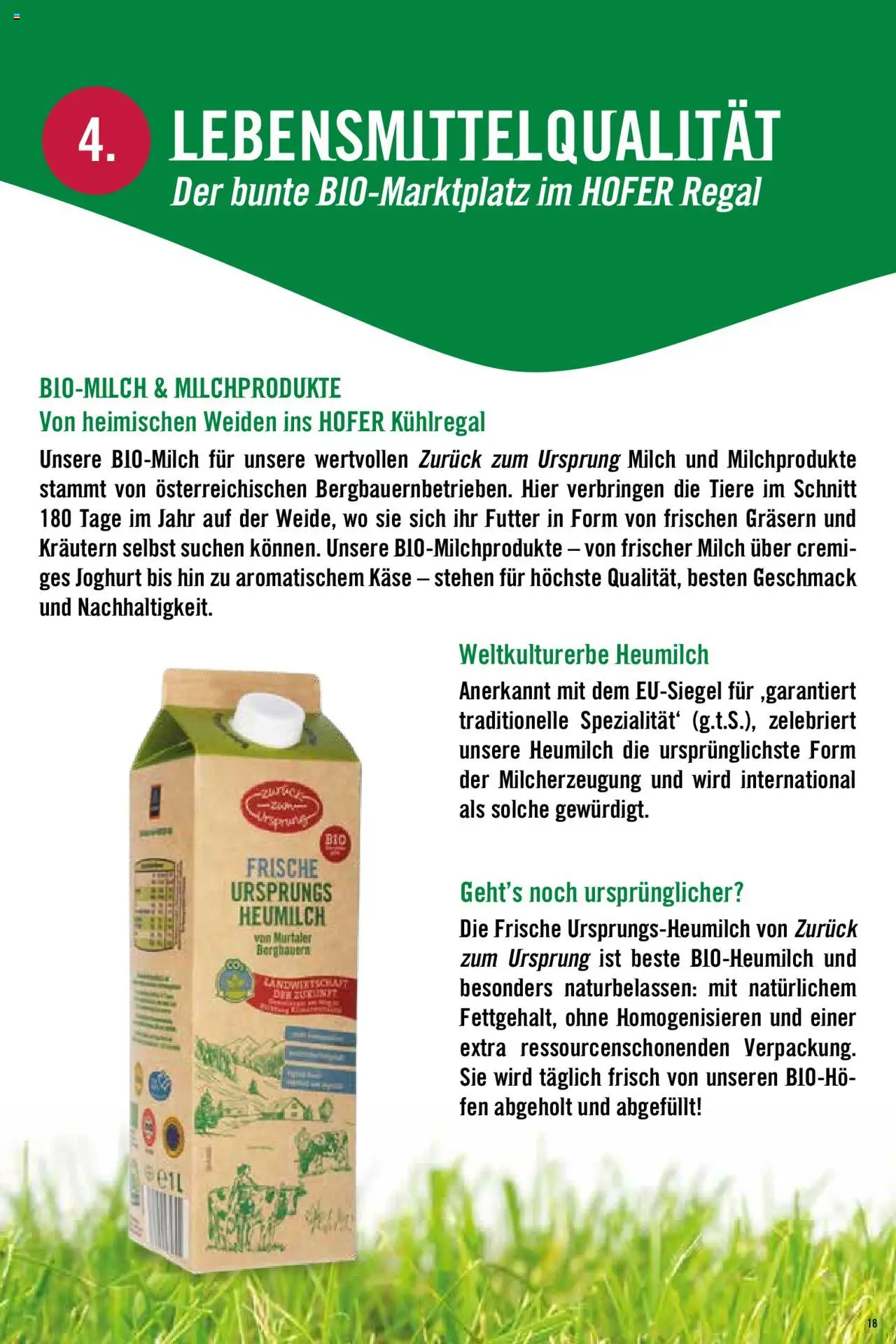 Hofer Zurück zum Ursprung-Fibel gültig ab 08.10.2024 | Seite: 18 | Produkte: Regal, Milch, Käse, Joghurt