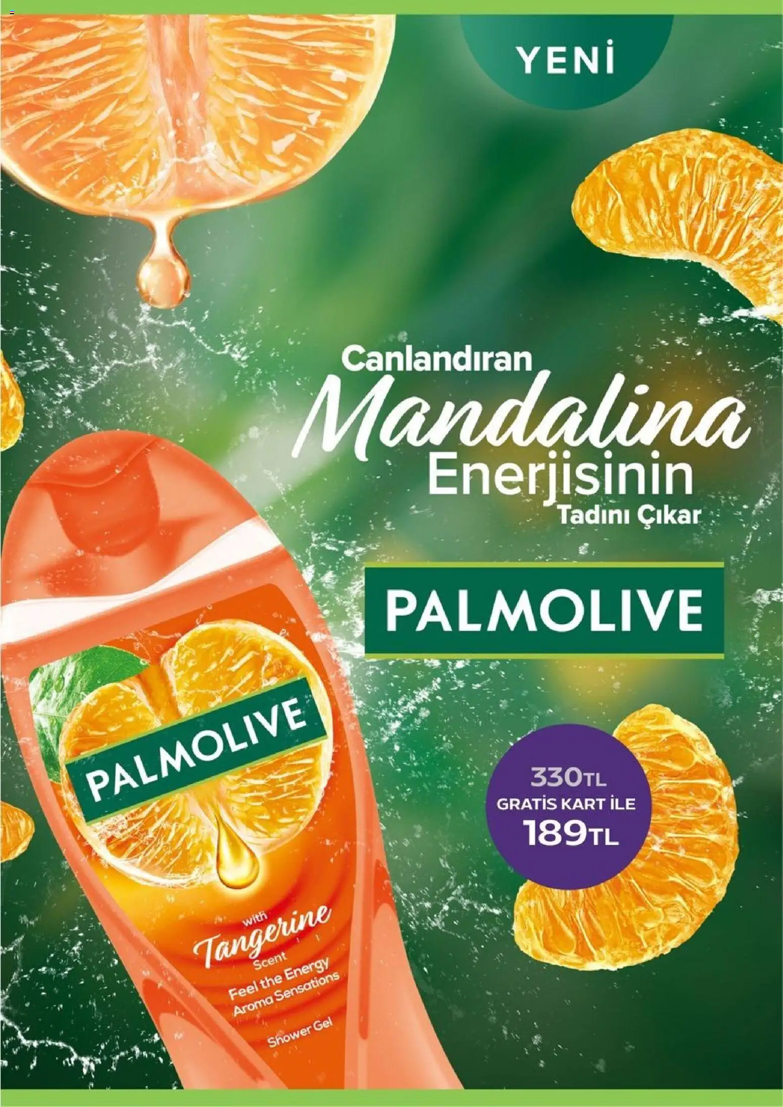 Gratis Katalog - 02.03.2026 tarihinden itibaren geçerlidir | Sayfa: 46 | Ürünler: Mandalina