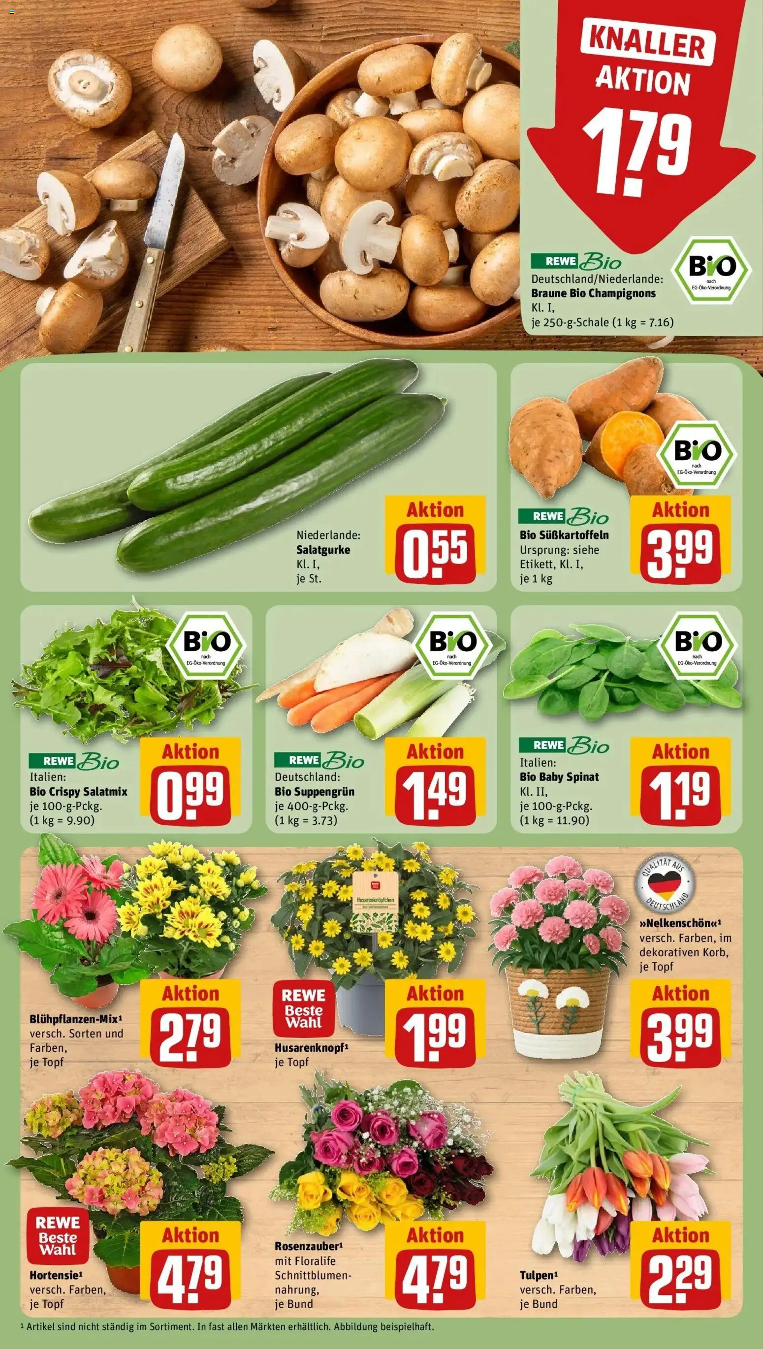 Rewe Prospekt Lahntal / Sterzhausen	 – gültig ab 05.04.2026 | Seite: 7 | Produkte: Champignons