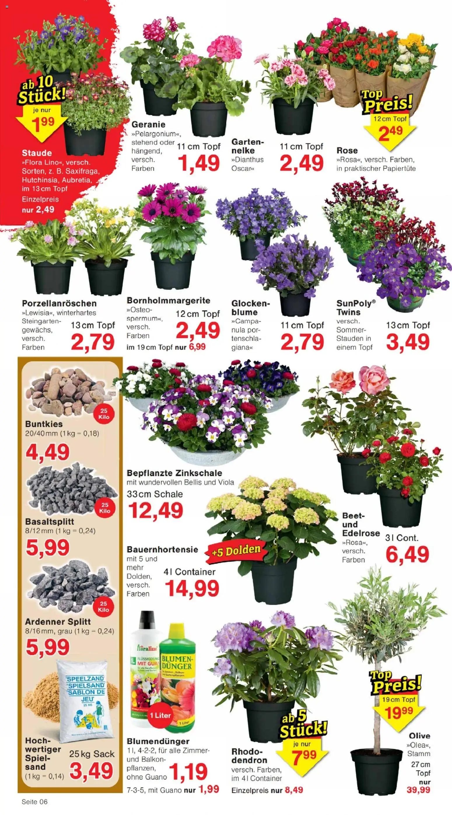 Jawoll Prospekt – gültig ab 30.03.2026 | Seite: 6 | Produkte: Spiel, Blumen