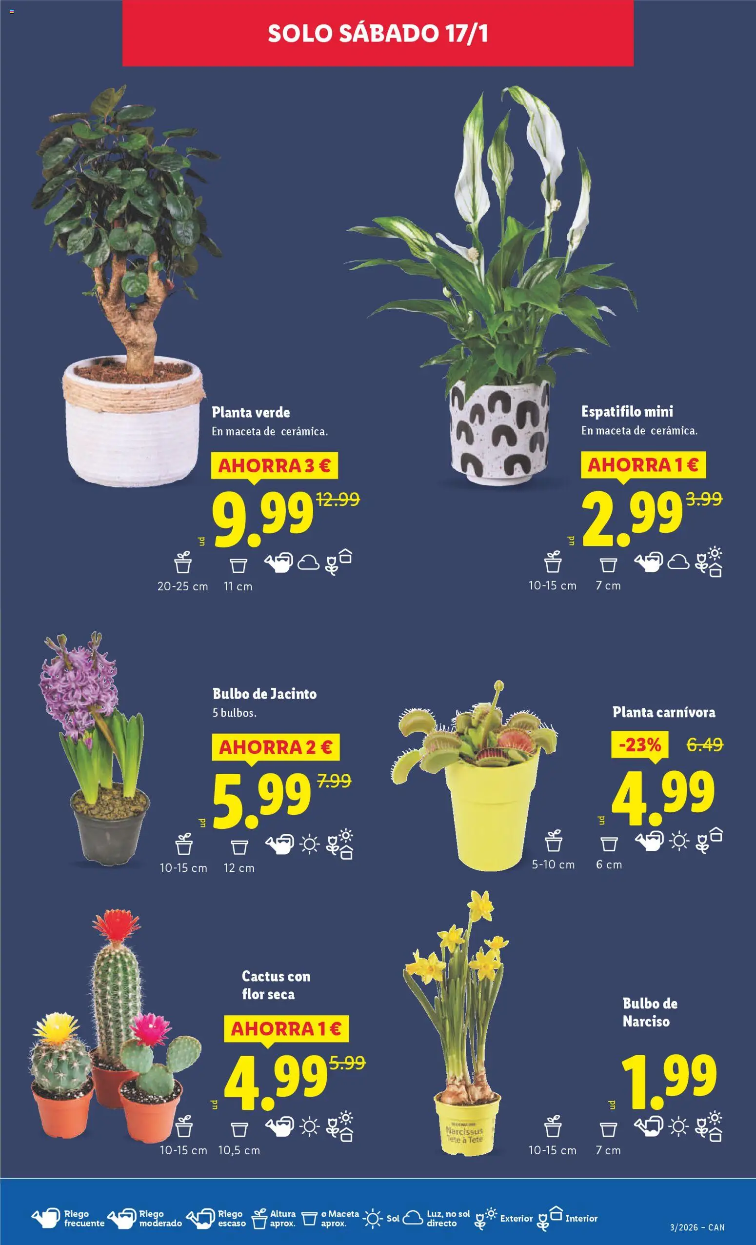 Lidl -Canarias │ válido desde el 12.01.2026 | Página: 27 | Productos: Maceta