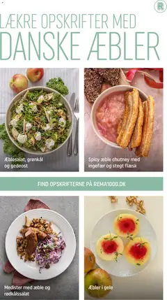 Æblesalat, grønkål og gedeost, Salad with apples, kale and goat cheese. gyldig fra 28.02.2026 | Side: 11