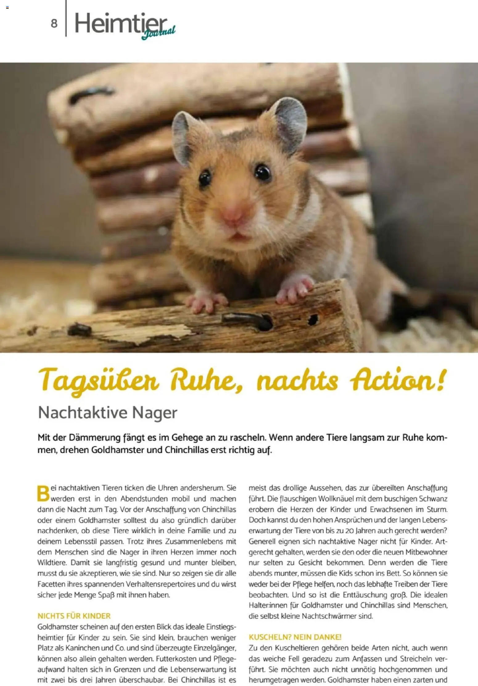 zookauf  Heimtier Journal – gültig ab 01.02.2026 | Seite: 8 | Produkte: Kaninchen