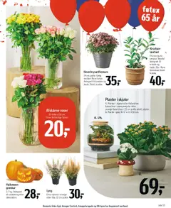Føtex tilbudsavis – gyldig fra 19.09.2025 | Side: 64 | Produkter: Græskar, Kirsebær, Krukke