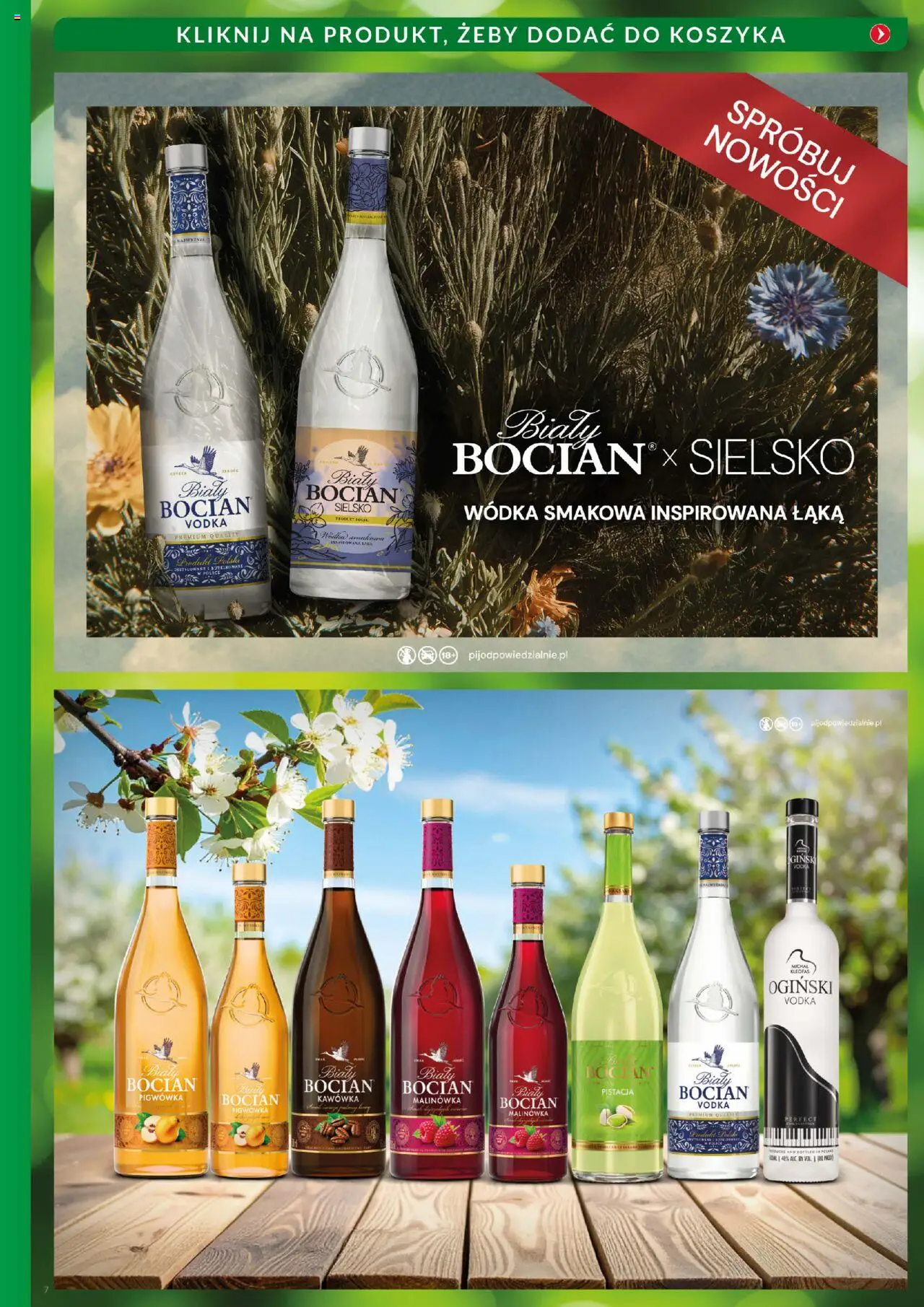 Eurocash Gazetka - Katalog Alkoholowy od 01.08.2025 | Strona: 7 | Produkty: Ogiński, Vodka, Wódka