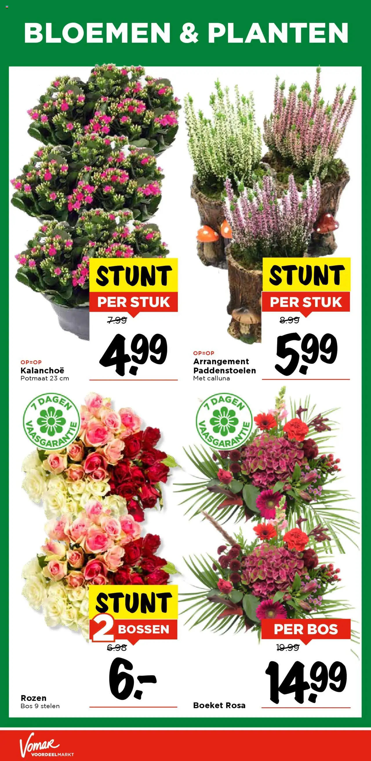 {H1} | Pagina: 37 | Producten: Bloemen