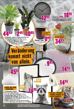 Hornbach Prospekt 	 ab 04.10.2025 gültig | Seite: 25 | Produkte: Kissen, Wandspiegel, Teppich