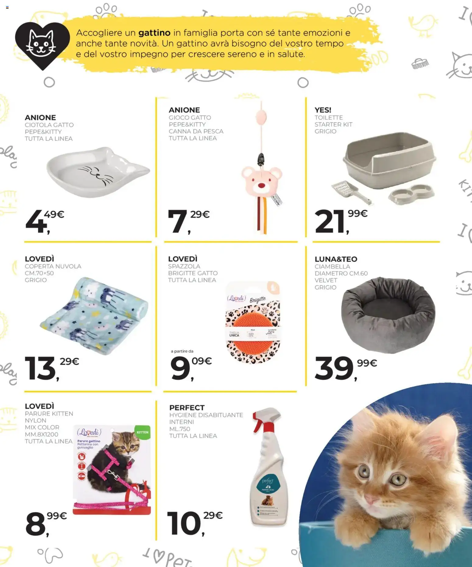 Volantino Arcaplanet del 19.01.2026 | Pagina: 23 | Prodotti: Spazzola, Pesca, Gioco, Coperta