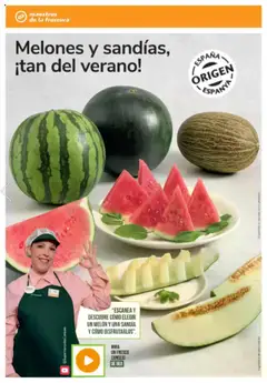 Consum folleto │ válido desde el 26.06.2025 | Página: 12 | Productos: Φορτιστής, Sandía
