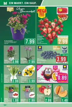 Marktkauf Prospekt 	 ab 20.04.2026 gültig | Seite: 4