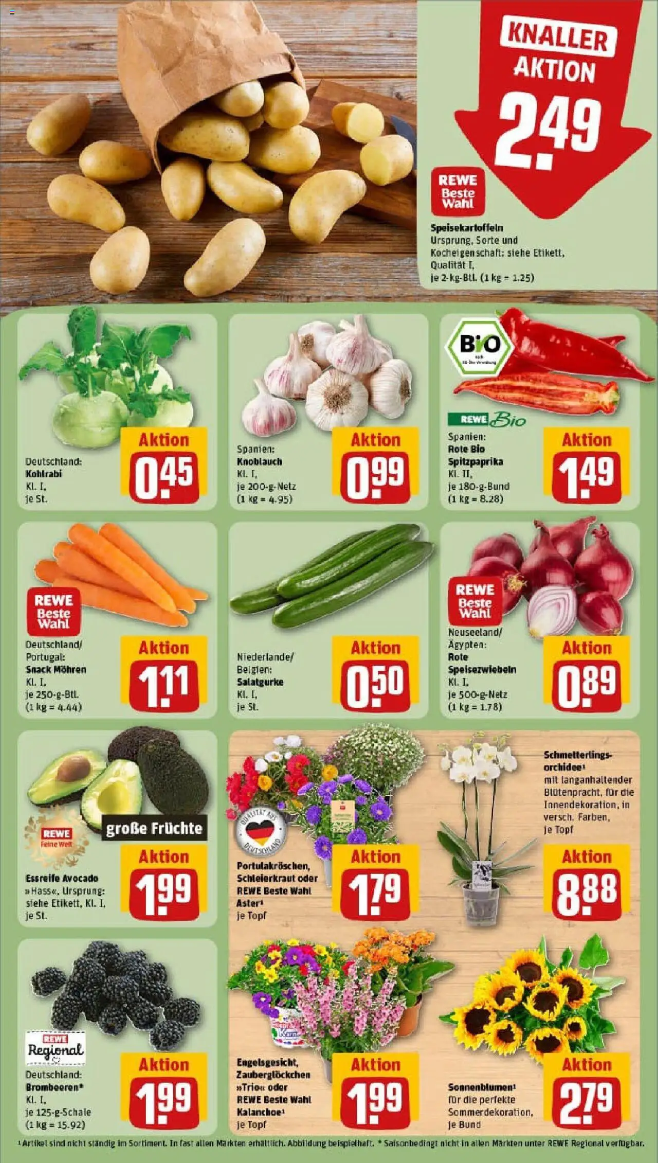 Rewe prospekt Gedern	 - gültig ab dem 06.07.2025 | Seite: 7 | Produkte: Orchidee, Mohren, Avocado, Knoblauch