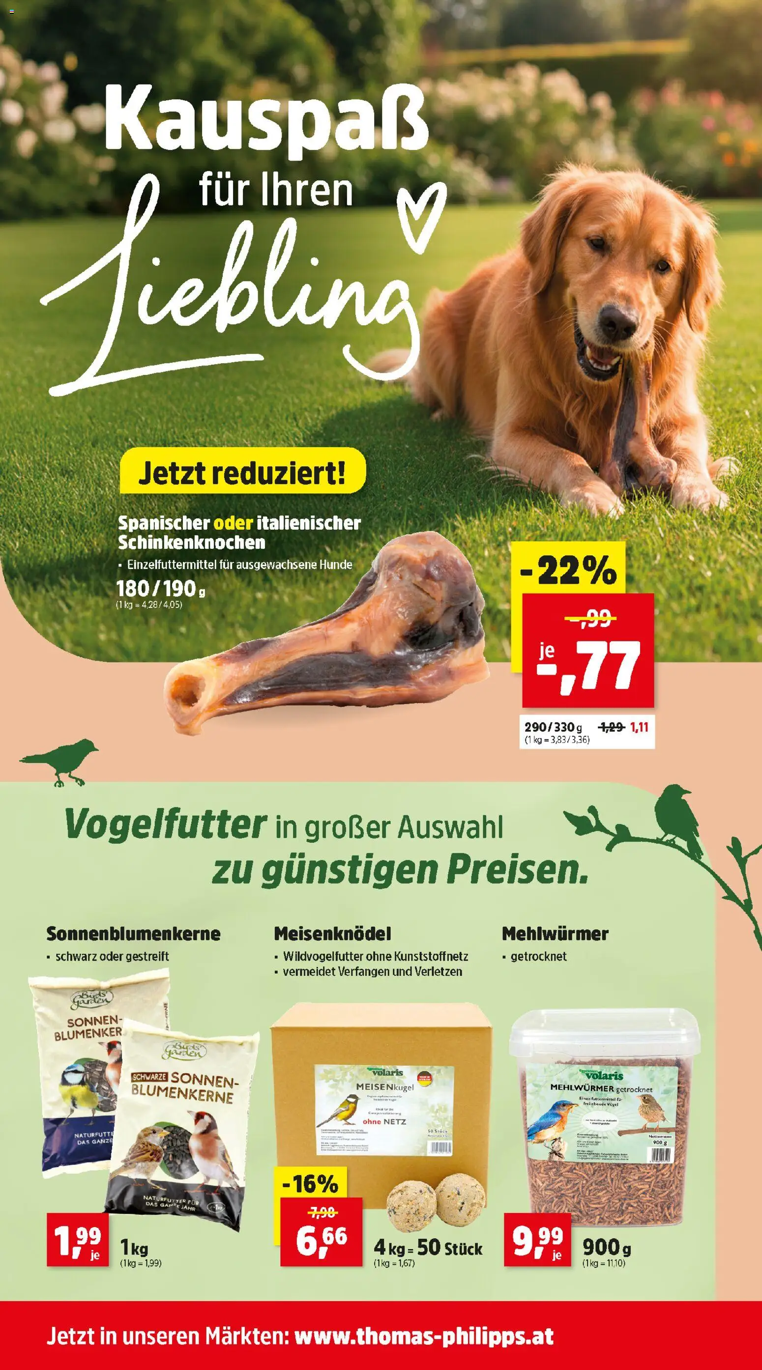 Thomas Philipps Flugblatt gültig ab 02.03.2026 | Seite: 6