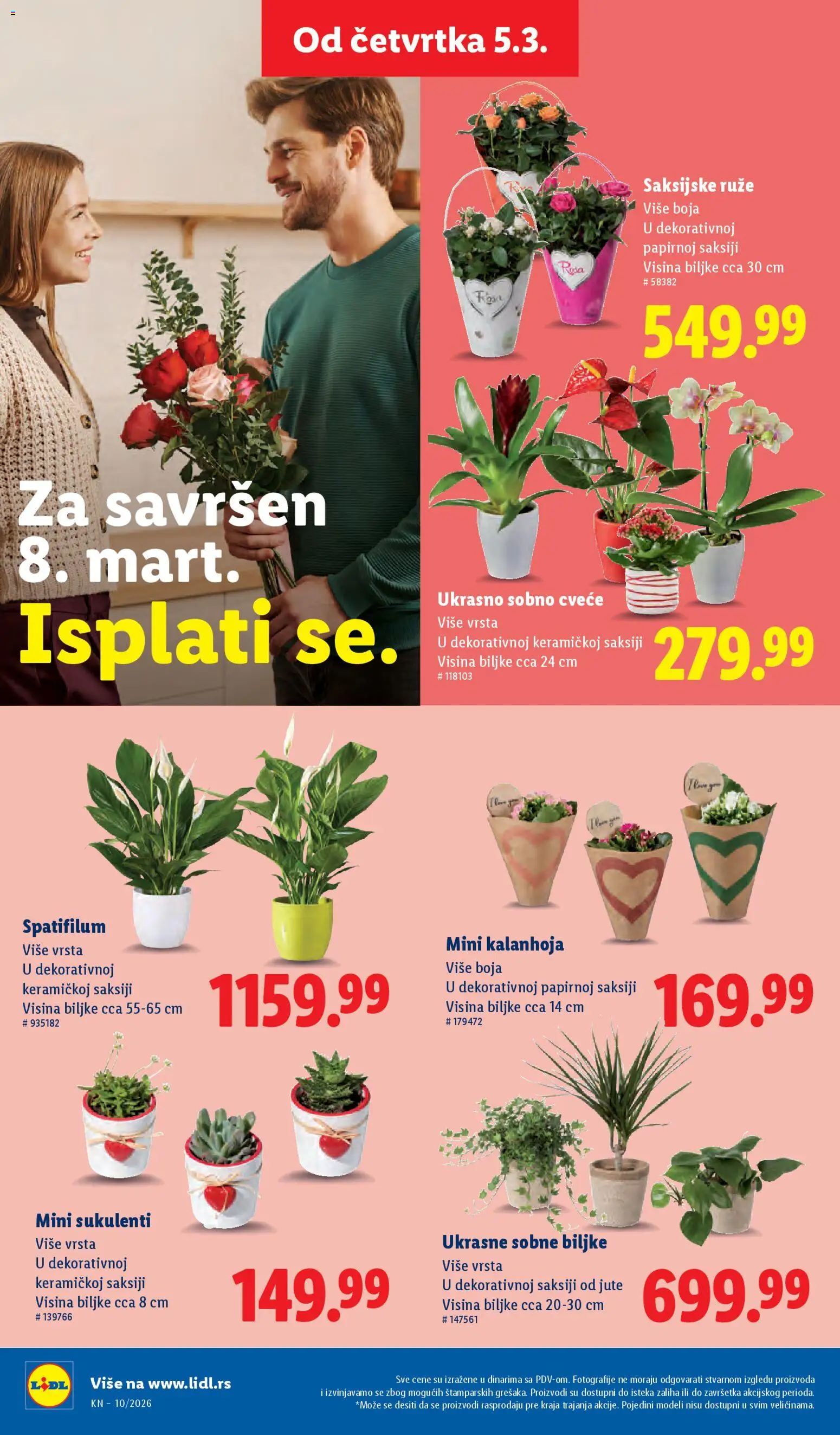 Lidl katalog - važi od 05.03.2026 | Strana: 72 | Proizvode: Kalanhoja, Sobne biljke, Ruze, Cvece