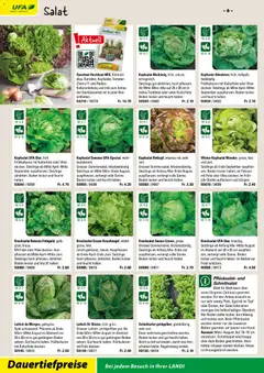 Landi ( Deaktivovane pre Letakomat )  Aktionen ab 07.01.2026 gültig | Seite: 8