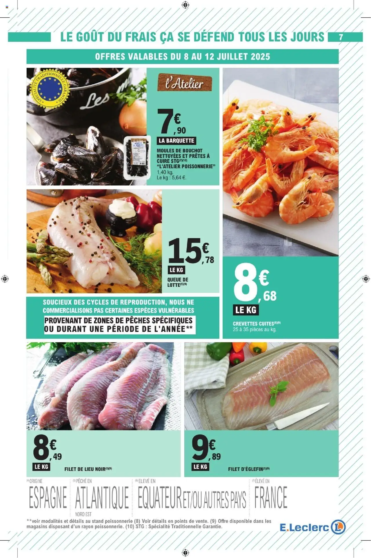  | Page: 7 | Produits: Queue de lotte, Poissonnerie, Crevettes, Moules de bouchot