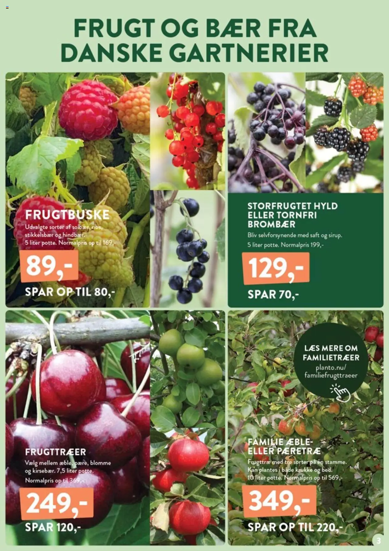 Plantorama tilbudsavis – gyldig fra 05.09.2025 | Side: 3 | Produkter: Krukke, Stikkelsbær