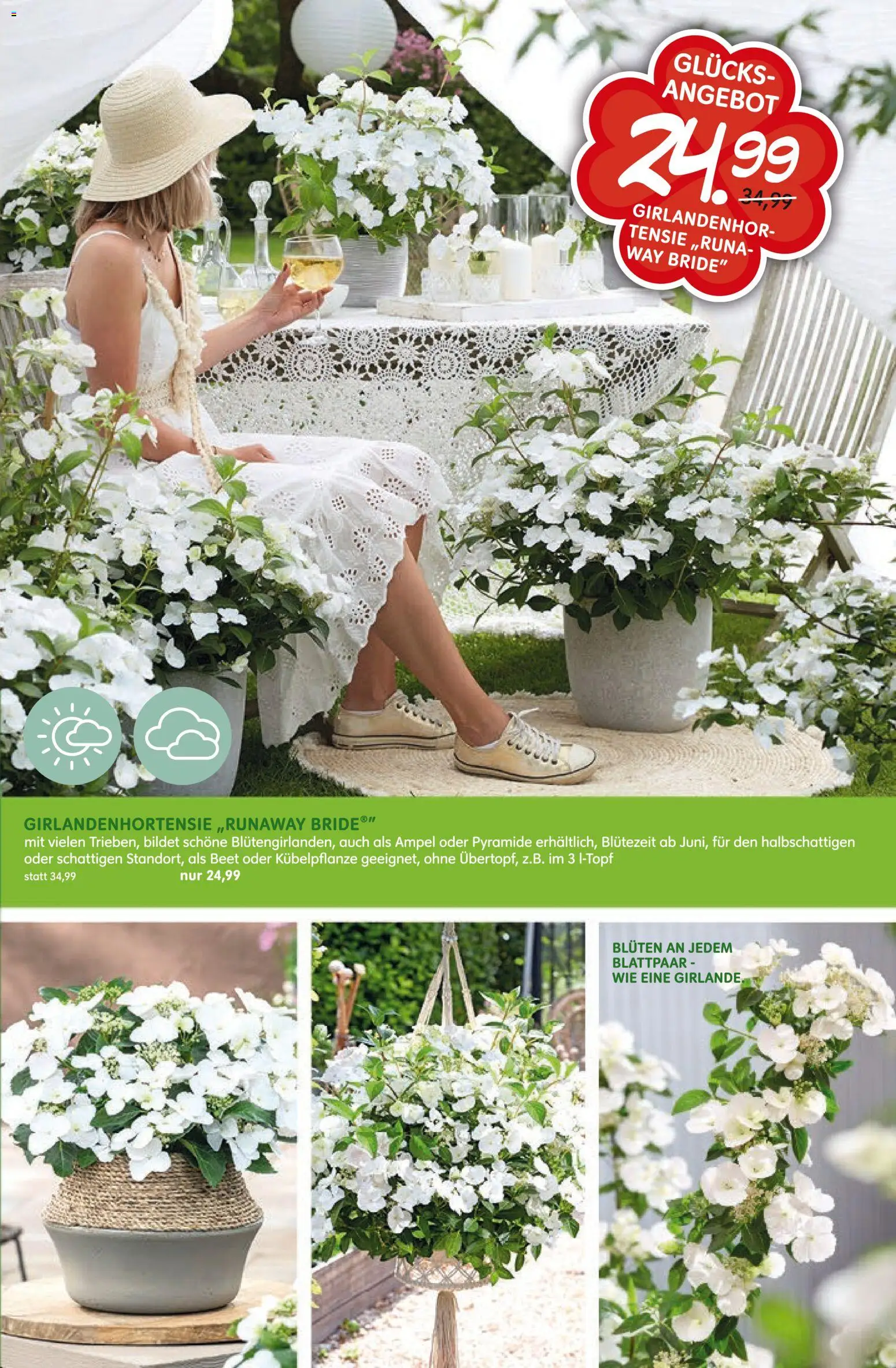 Blumen Risse Prospekt Blumenmarkt – gültig ab 16.04.2026 | Seite: 11