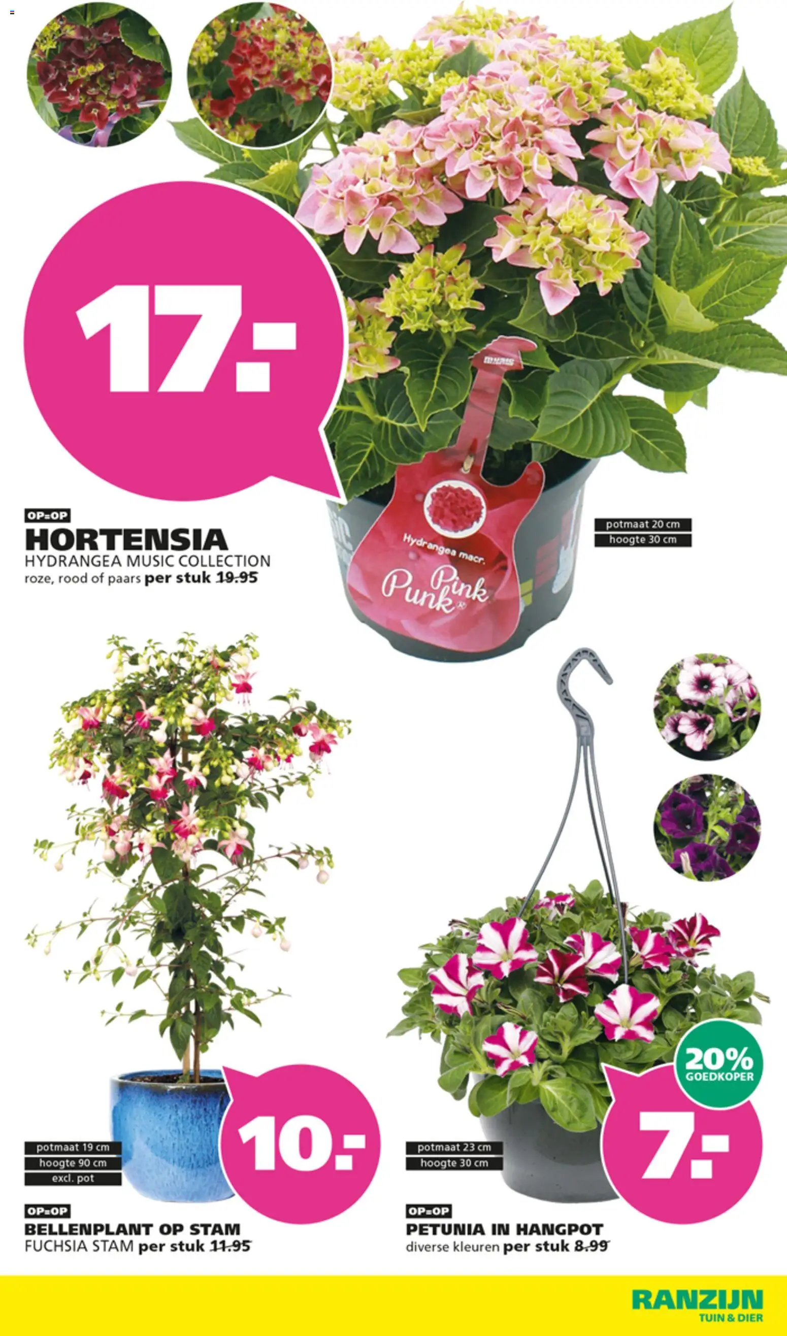 {H1} | Pagina: 2 | Producten: Pot