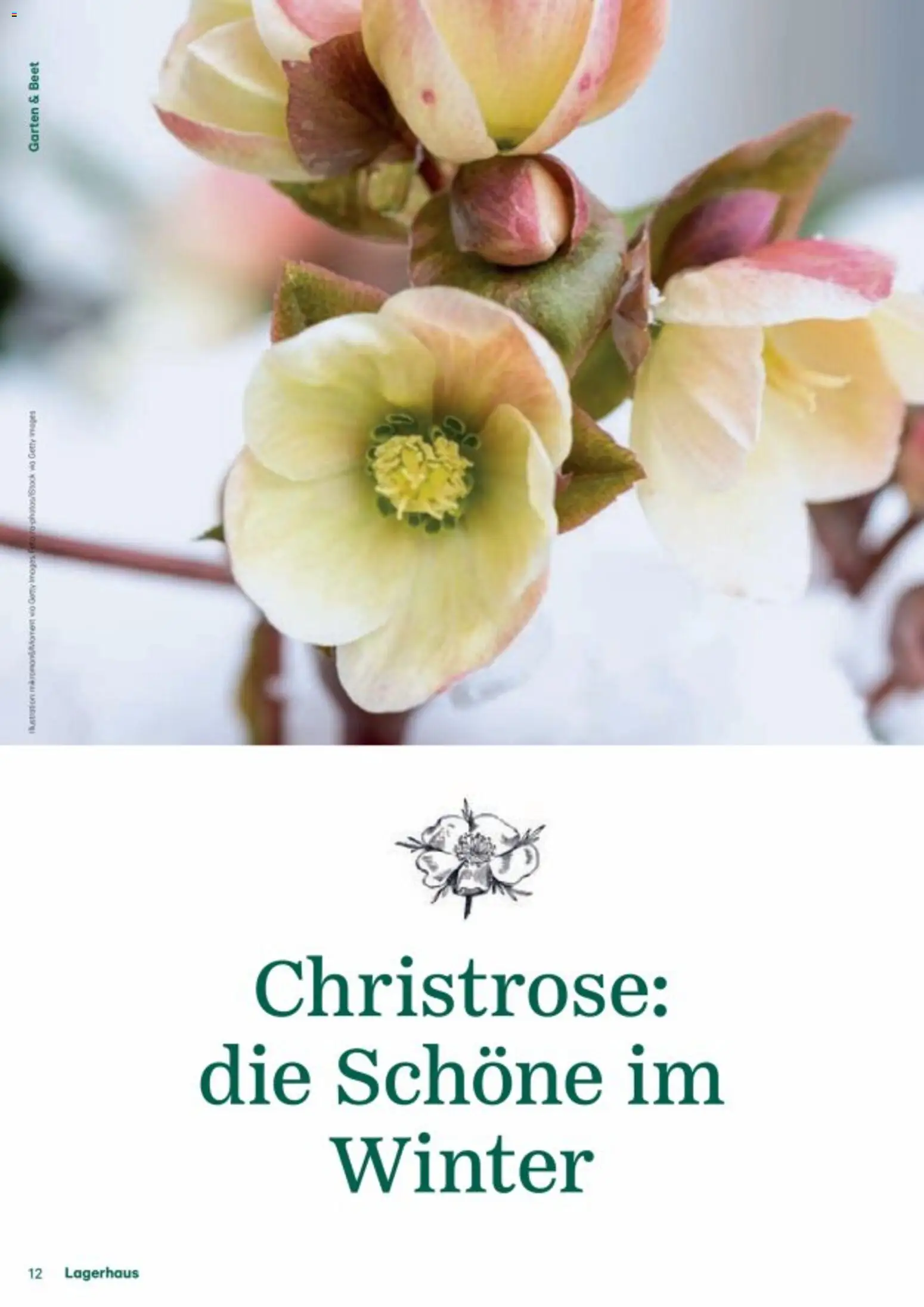 Lagerhaus Fürs Leben am Land gültig ab 01.11.2025 | Seite: 12