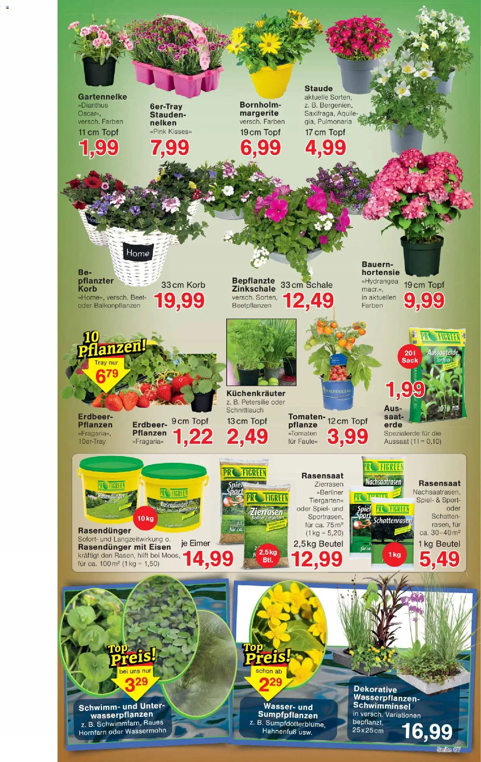 Wiglo Wunderland Prospekt 	 – gültig ab 20.04.2026 | Seite: 11 | Produkte: Spiel, Hortensie, Tomaten, Petersilie