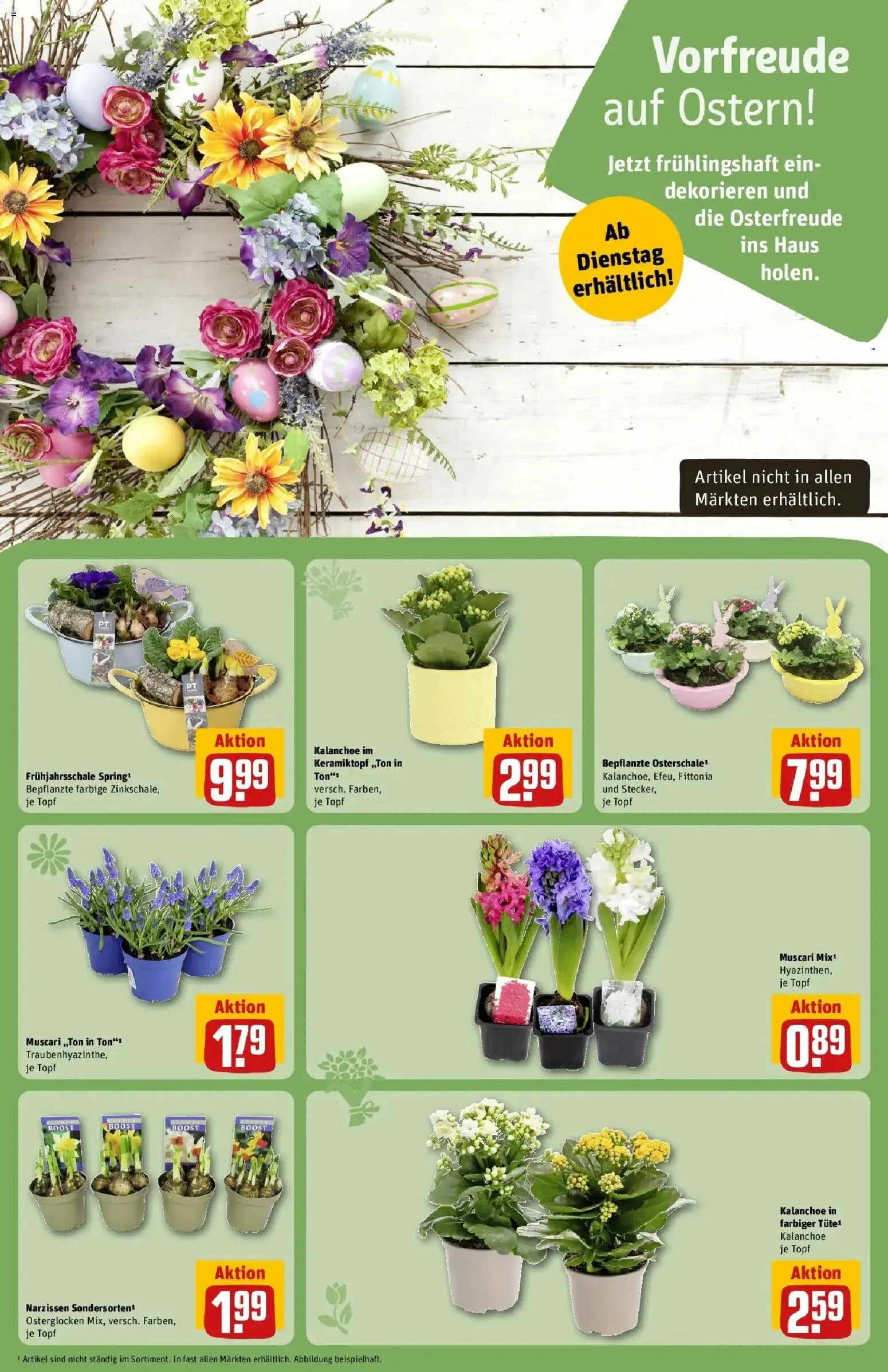 Rewe Prospekt Hamburg 50 (Altona)	 – gültig ab 15.03.2026 | Seite: 11