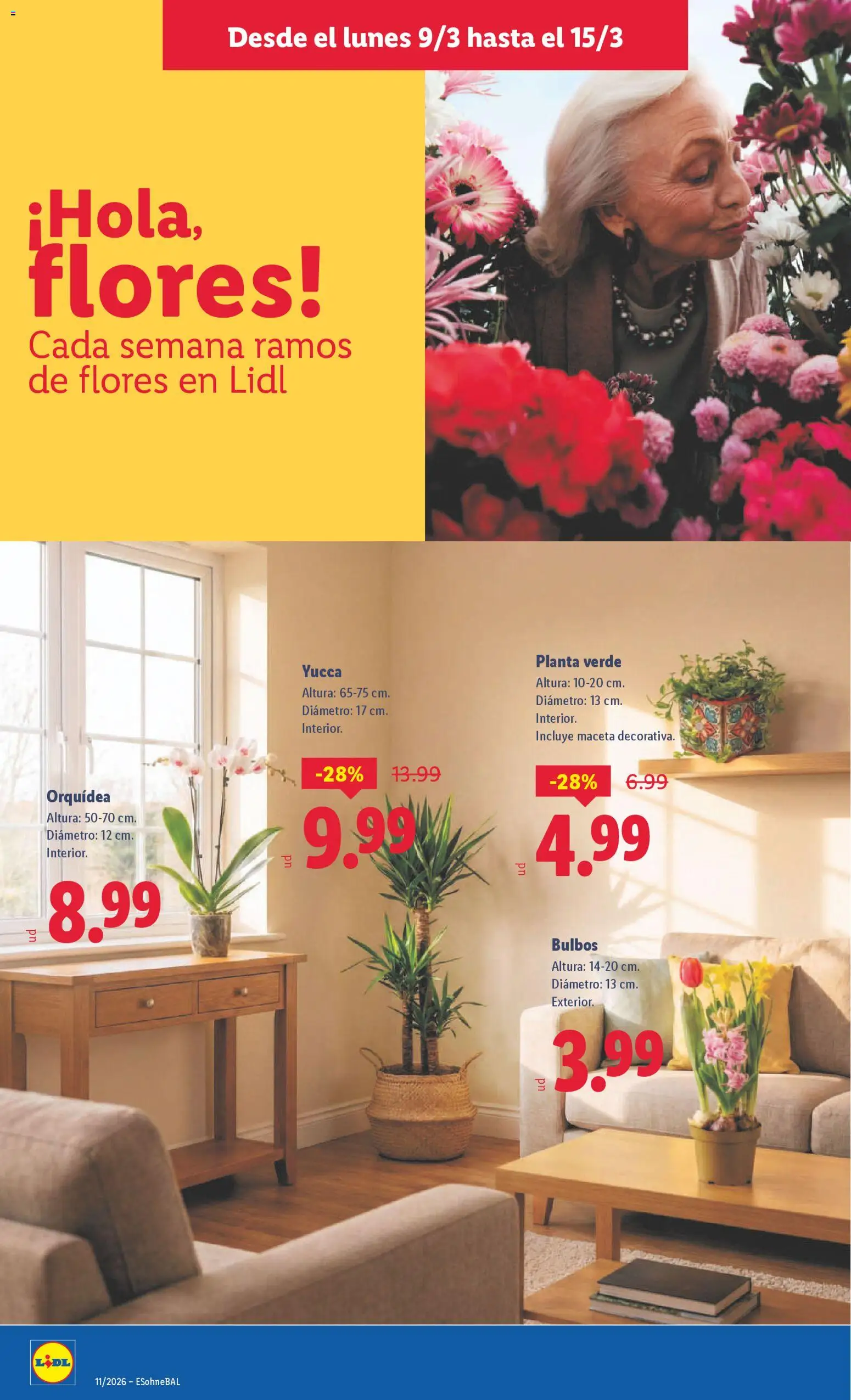Lidl folleto │ válido desde el 09.03.2026 | Página: 52 | Productos: Maceta