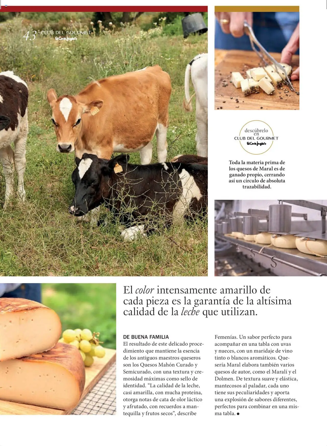 El Corte Inglés ofertas │ válido desde el 27.06.2025 | Página: 43 | Productos: Leche, Τζίντζερ, Vino, Συσκευή ροής