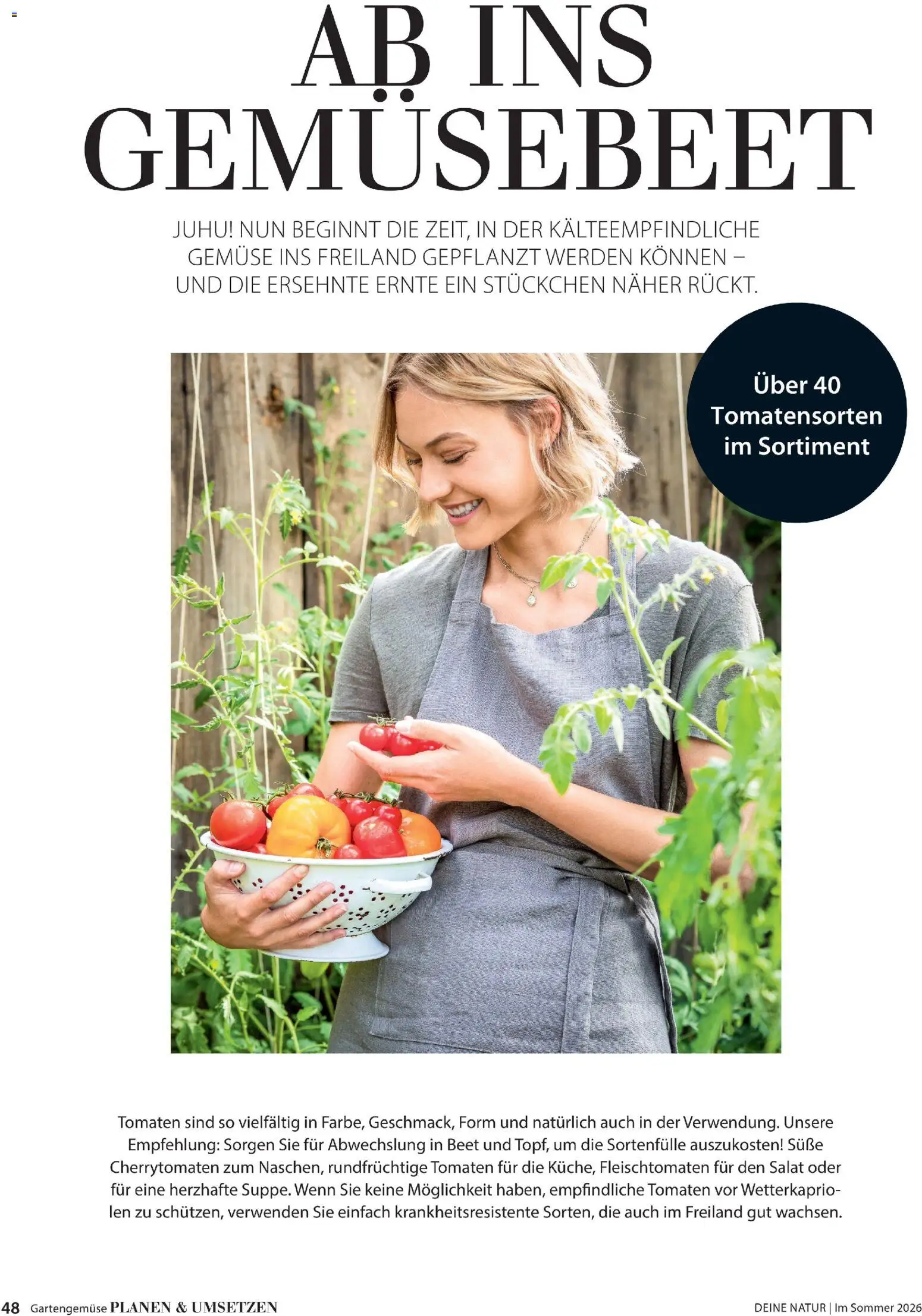 Dehner Prospekt 	 – gültig ab 17.04.2026 | Seite: 48 | Produkte: Tomaten, Gemüse, Salat