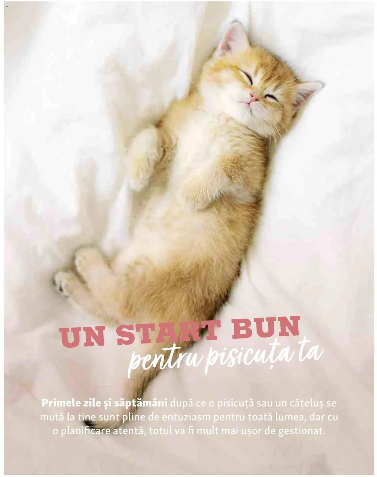 Noul catalog Fressnapf – valabil de la 05.05.2025 | Pagină: 16