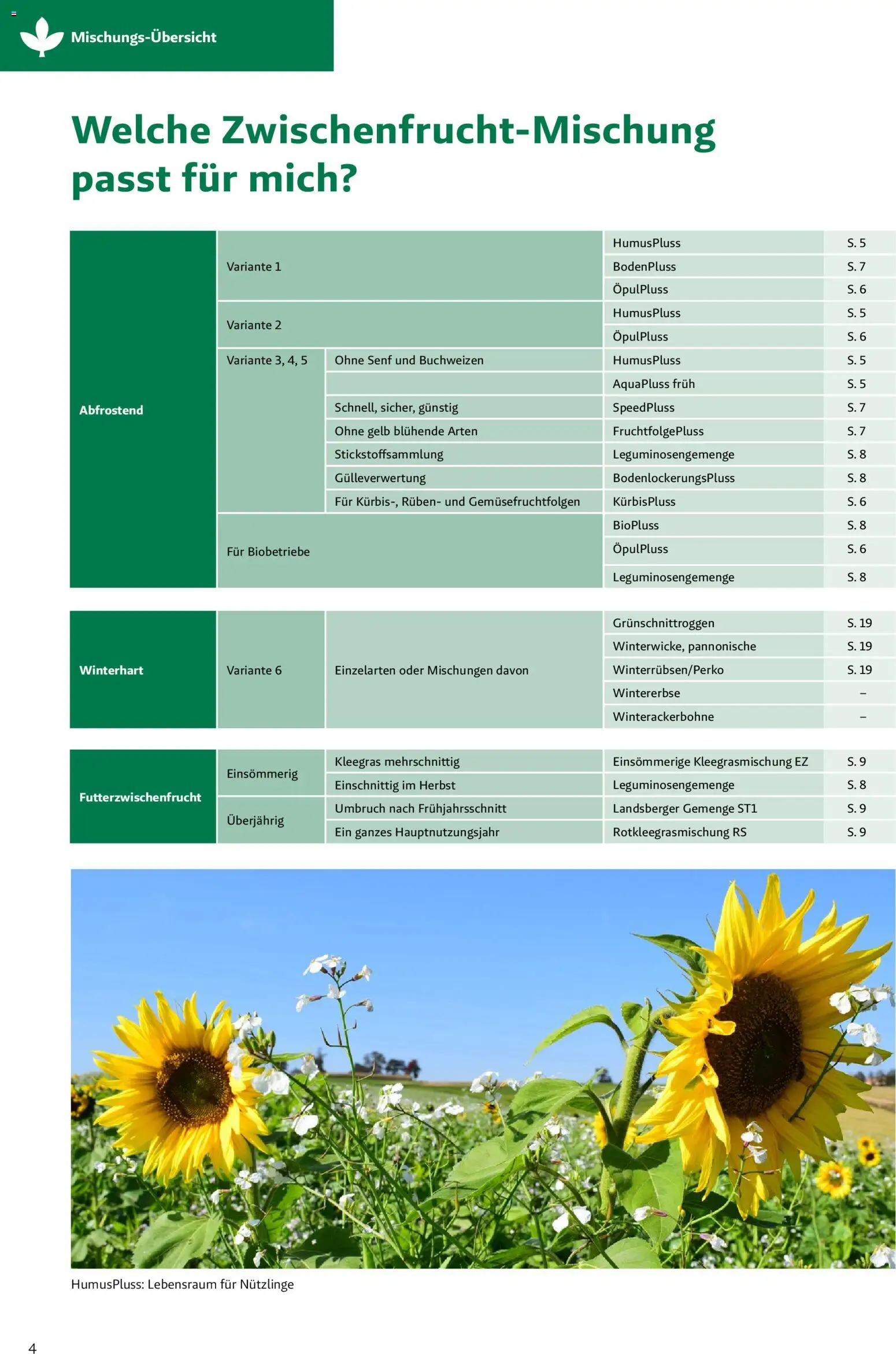 Lagerhaus Zwischenfrüchte und Begrünungen 2026 gültig ab 26.03.2026 | Seite: 4