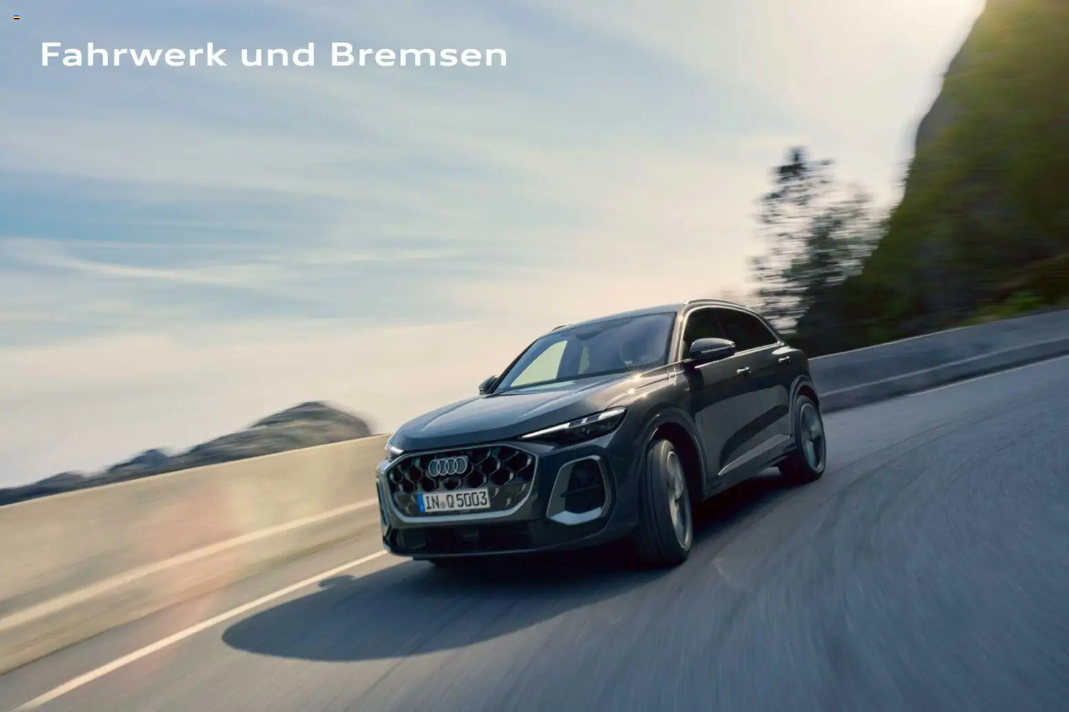 Audi Q5 – gültig ab 28.10.2025 | Seite: 134 | Produkte: Spiegel