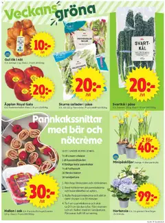 ICA Supermarket erbjudanden - Förhandsvisning av reklamblad från butik ICA Supermarket aktuell från 09.03.2026 | Sida: 5 | Produkter: Gul lök, Äpplen, Sallad, Hallon
