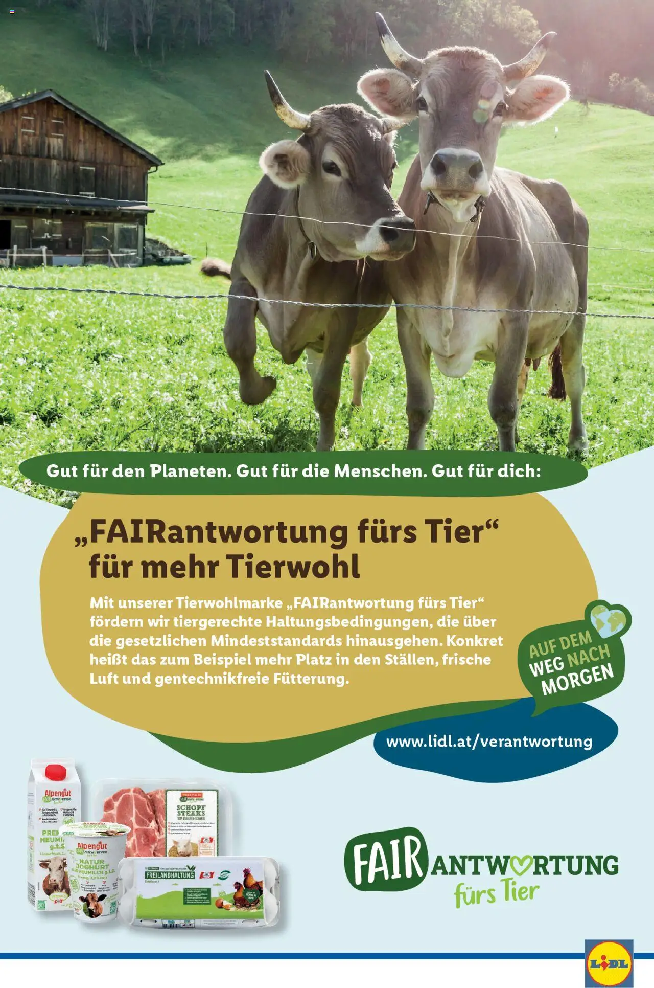 Lidl - Flugblatt gültig ab 28.05.2025 | Seite: 48 | Produkte: Joghurt