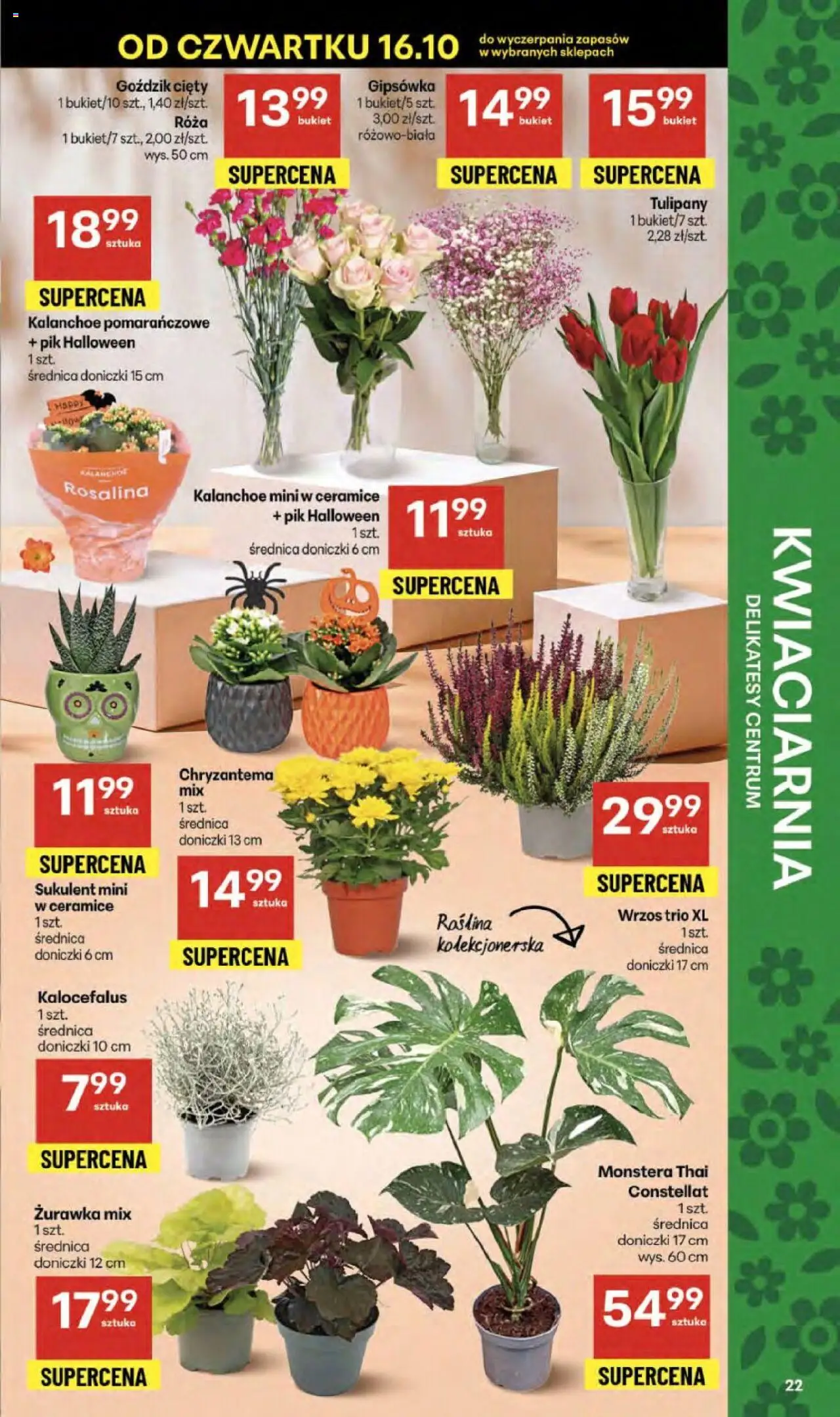 Delikatesy Centrum Gazetka - Sklepy Własne od 16.10.2025 | Strona: 22 | Produkty: Goździk, Doniczki, Kalanchoe, Tulipany
