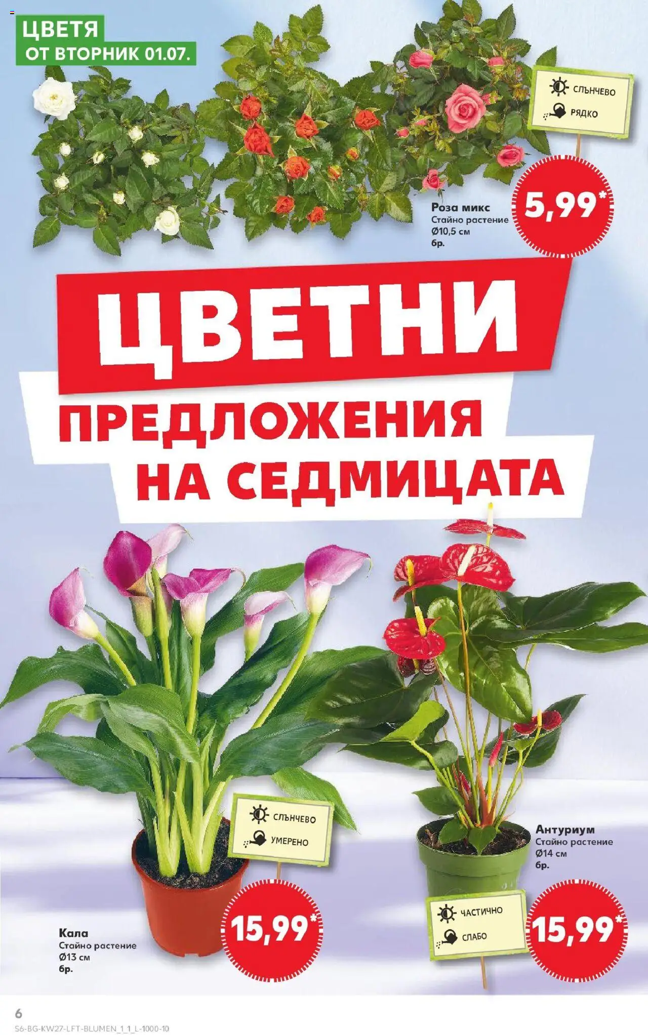  | Страница: 6 | Продукти: Роза
