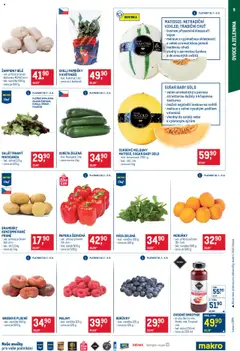 Makro leták - Pro milovníky jídla od 30.07.2025 | Strana: 9