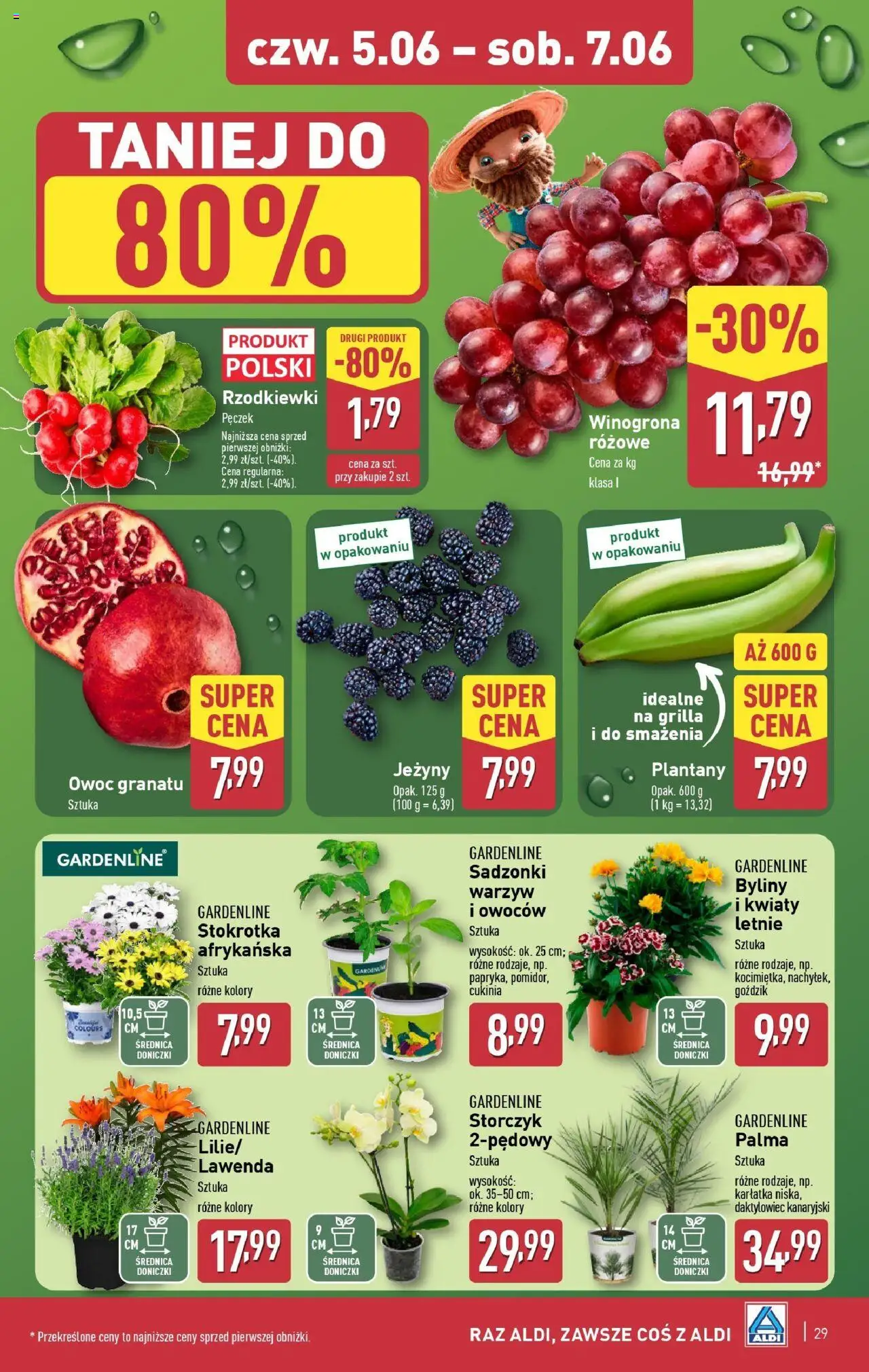 Aldi Gazetka od 02.06.2025 | Strona: 29 | Produkty: Winogrona, Goździk, Doniczki, Storczyk
