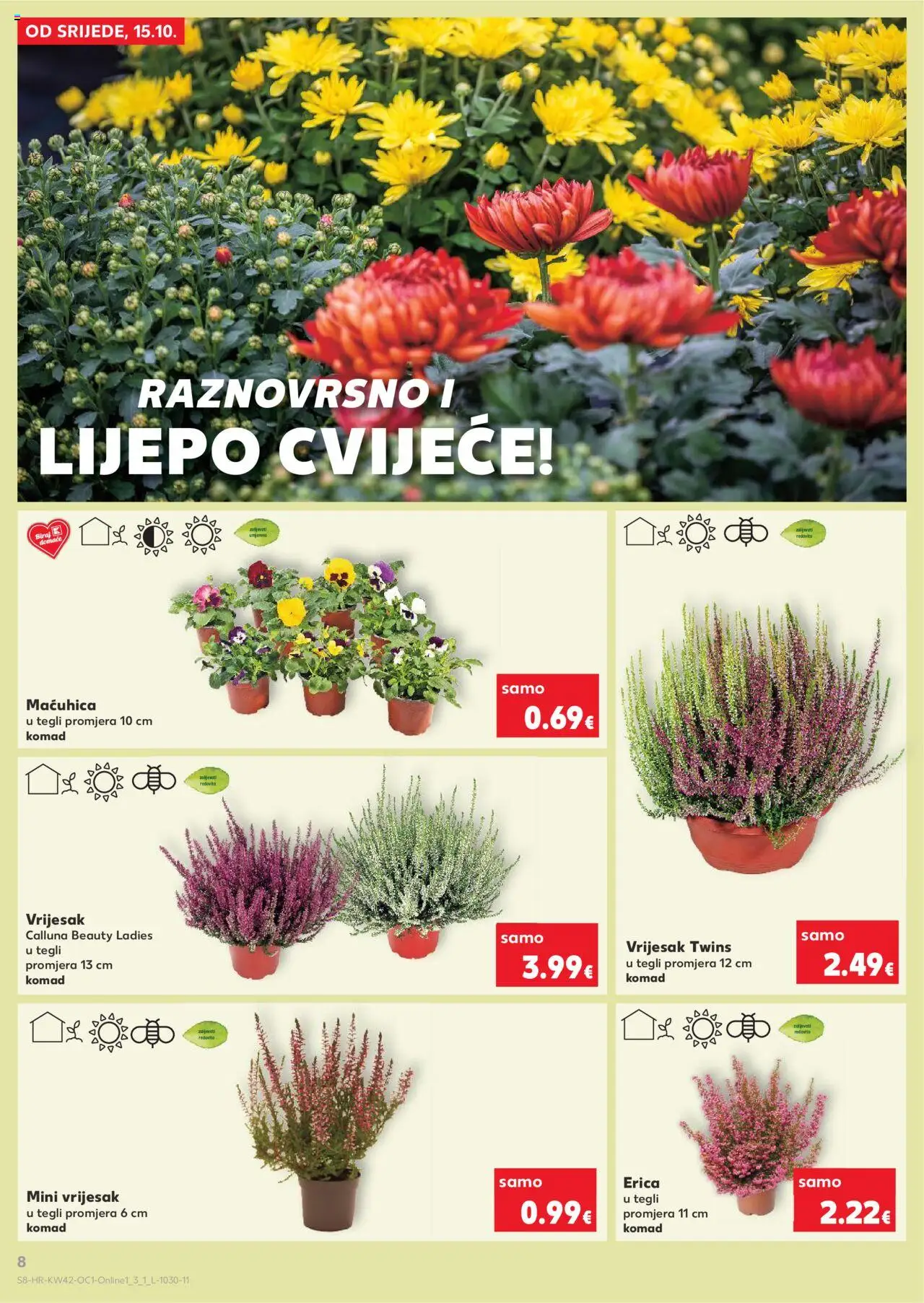 Kaufland katalog | vrijedi od 15.10.2025 | Stranica: 8 | Proizvodi: Cvijeće