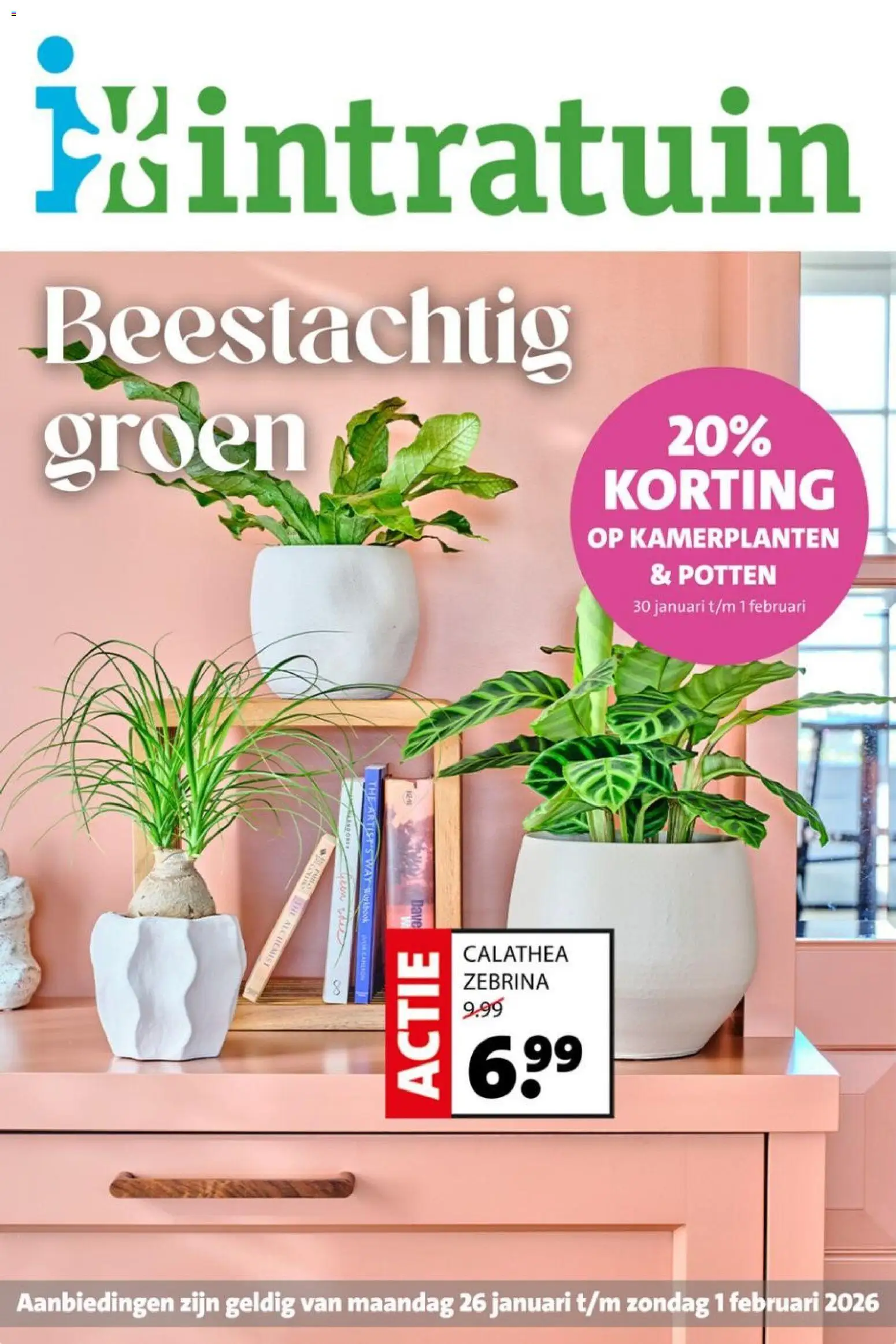 {H1} | Pagina: 1 | Producten: Kamerplanten