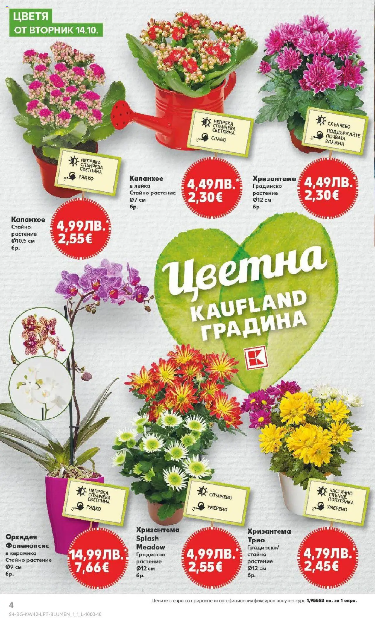 {H1} | Страница: 4 | Продукти: Орхидея, Хризантема, Лейка