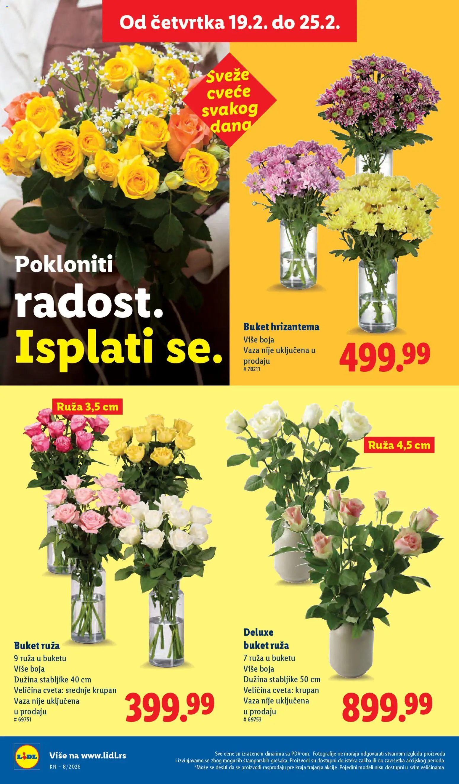 Lidl katalog - važi od 19.02.2026 | Strana: 50 | Proizvode: Vaza, Hrizantema, Cvece