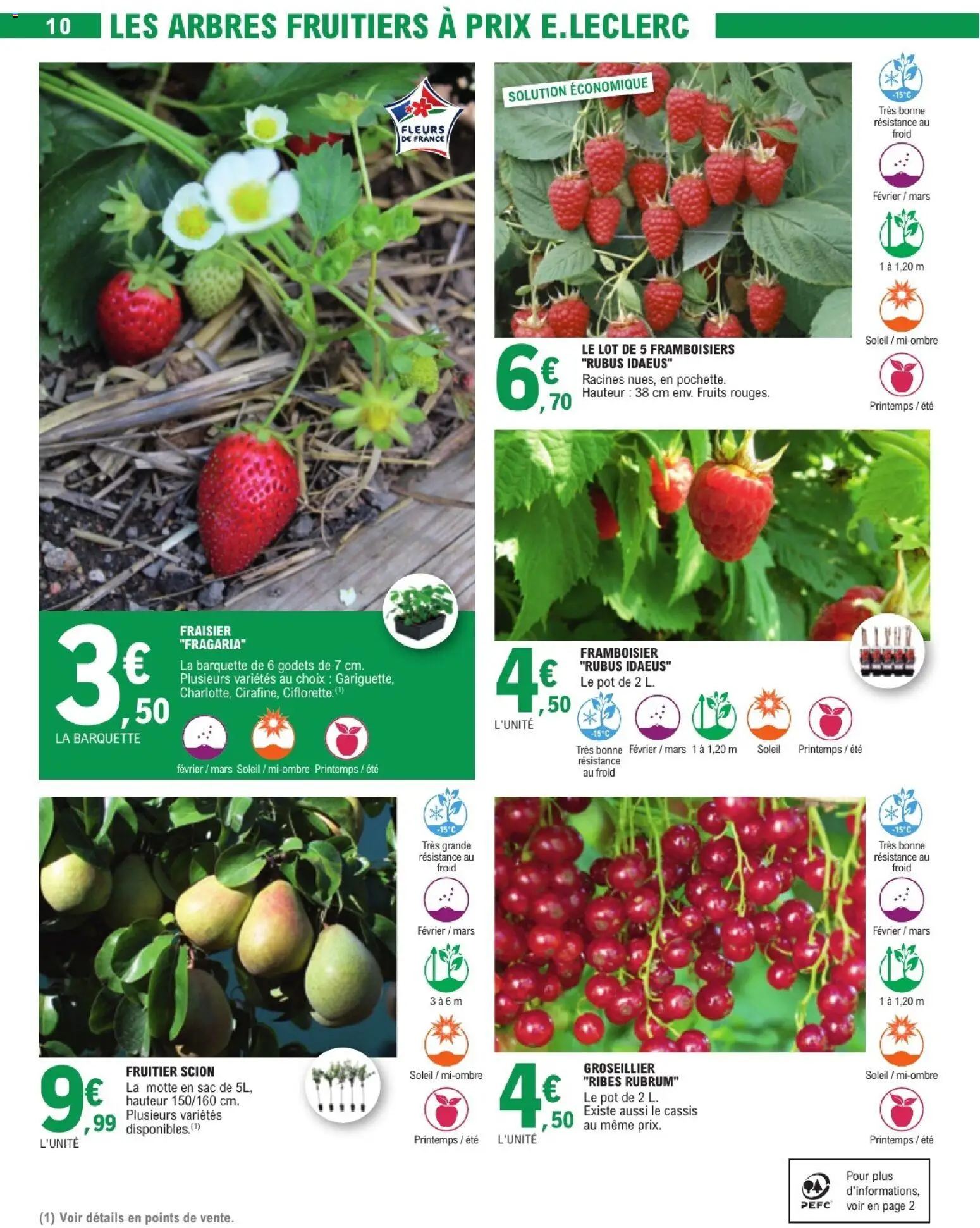 {H1} | Page: 10 | Produits: Cassis, Sac, Fraisier