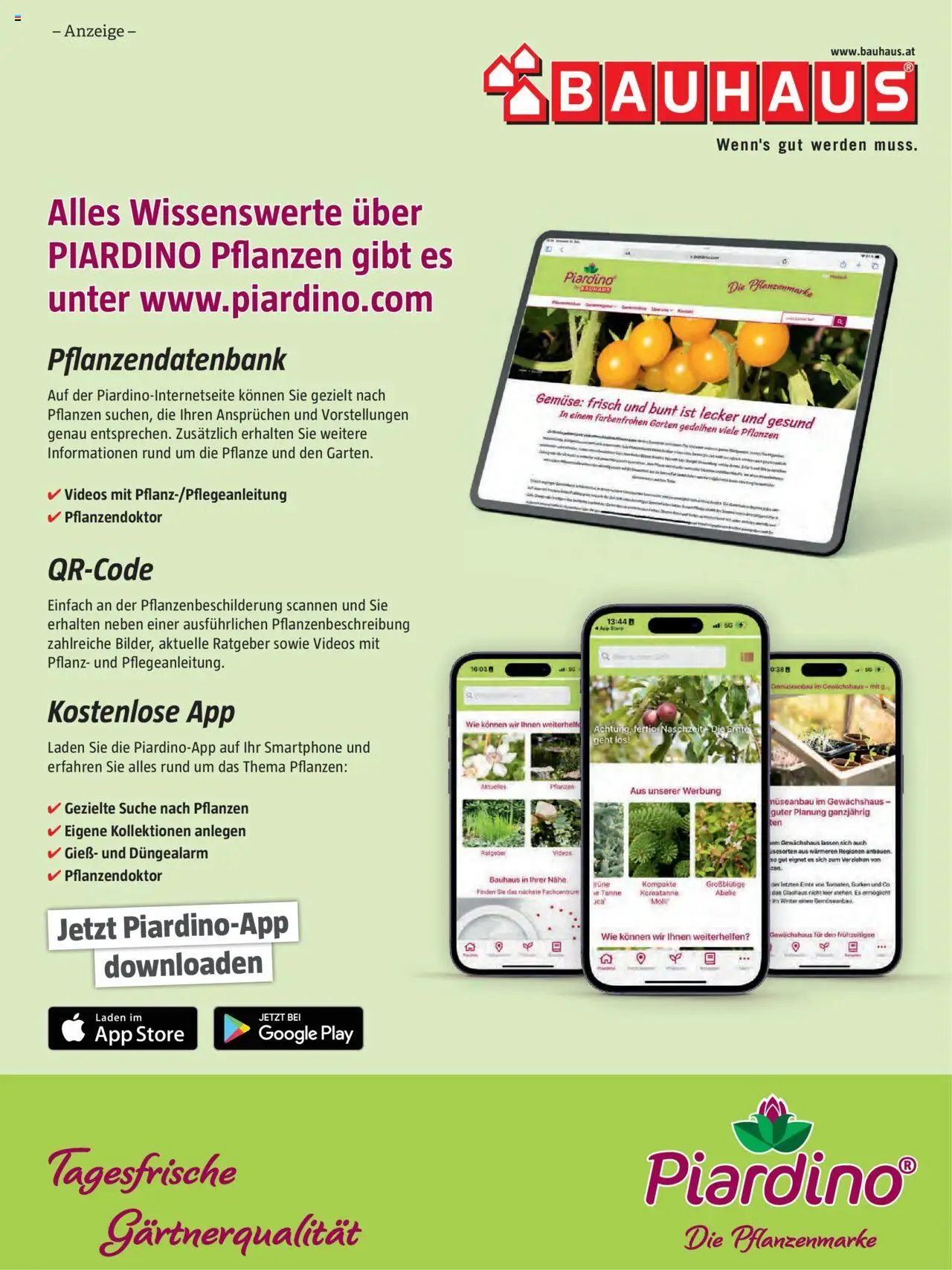 Bauhaus Passt! gültig ab 01.10.2025 | Seite: 37 | Produkte: Gurken, Gemüse, Smartphone