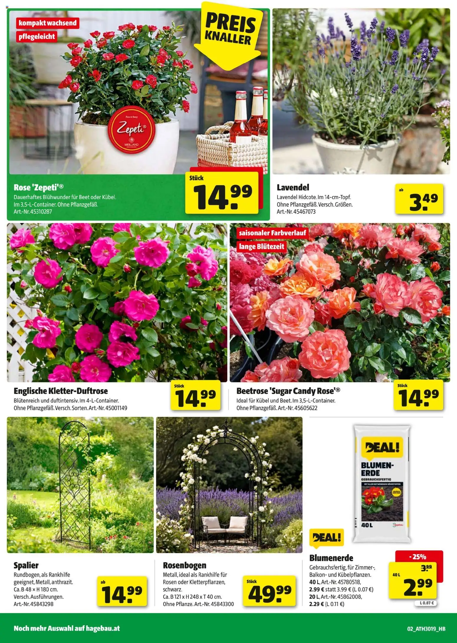 Hagebau Flugblatt gültig ab 27.04.2026 | Seite: 2