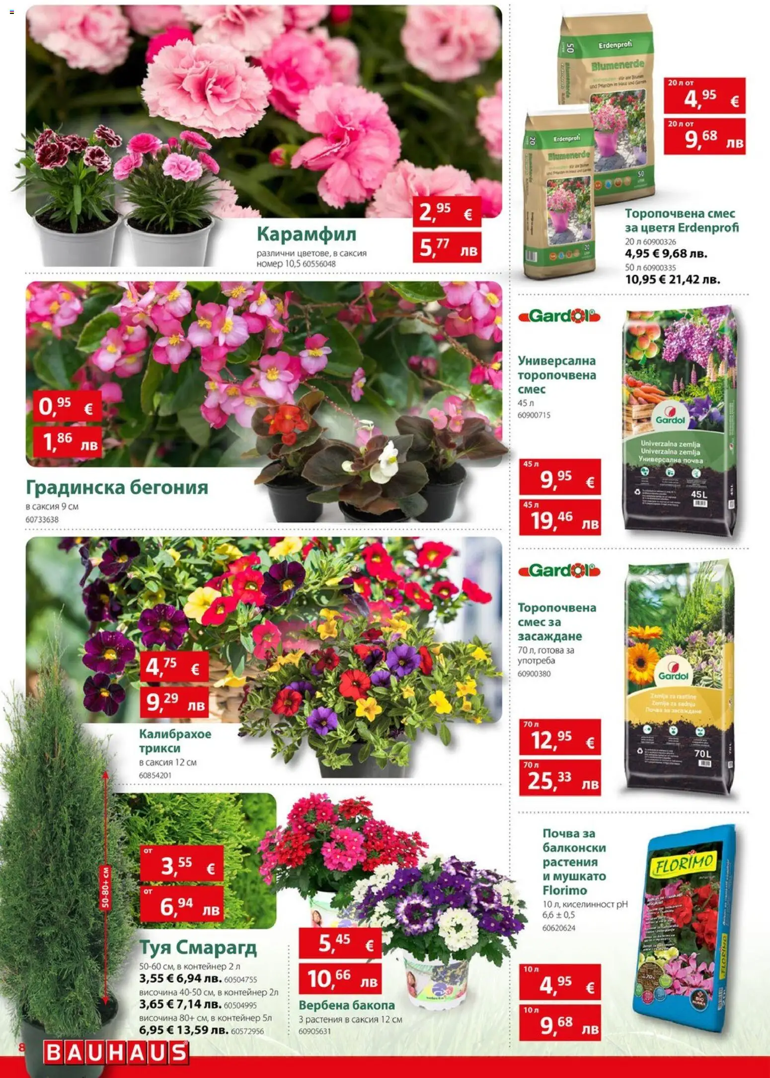 {H1} | Страница: 8 | Продукти: Vanília kivonat, Карамфил, Контейнер, Саксия