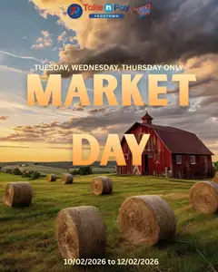 Take n Pay specials catalogue – valid from 10.02.2026