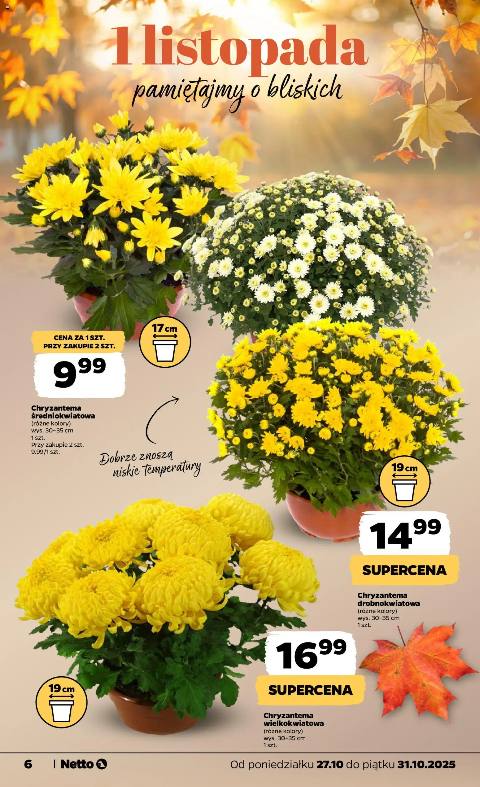 Netto gazetka - Spożywcza od 27.10.2025 | Strona: 6