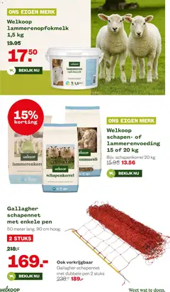 Welkoop - Folder - Voorbeeld van een folder van Welkoop, geldig van 16.02.2026 | Pagina: 21 | Producten: Vest, Sjaal, Kabel